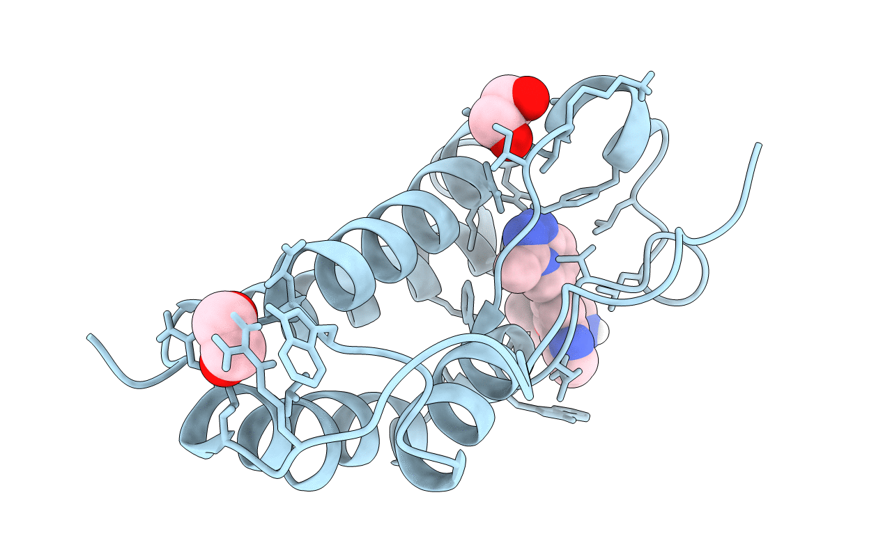 6XVC image