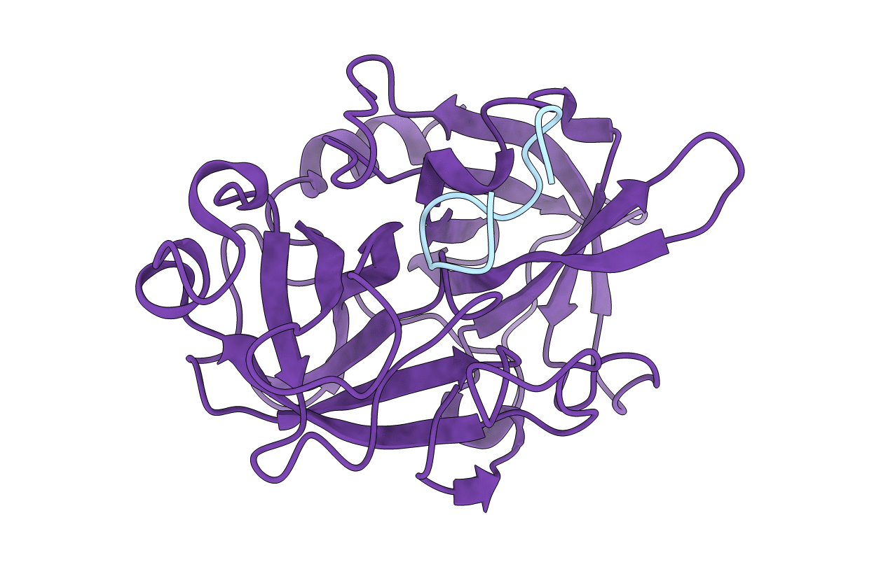 6XVD image