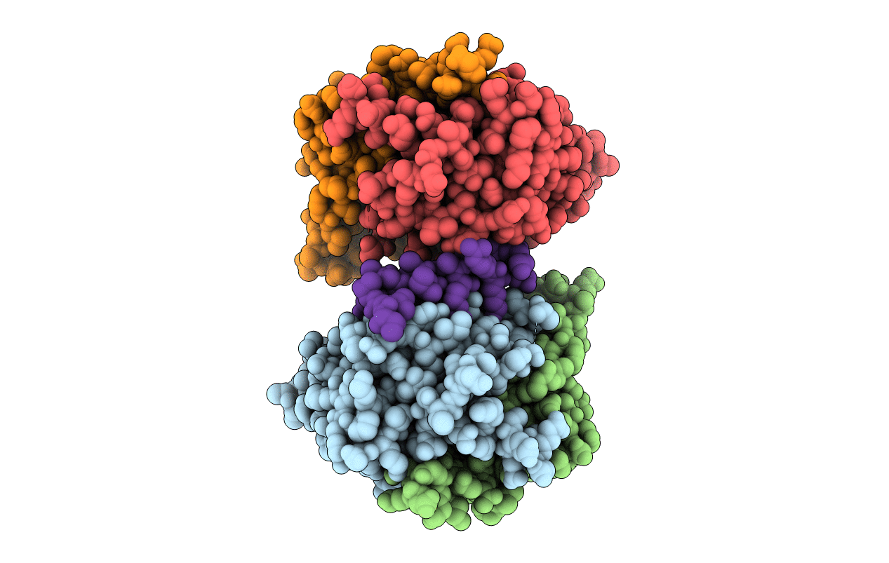 6XWV image