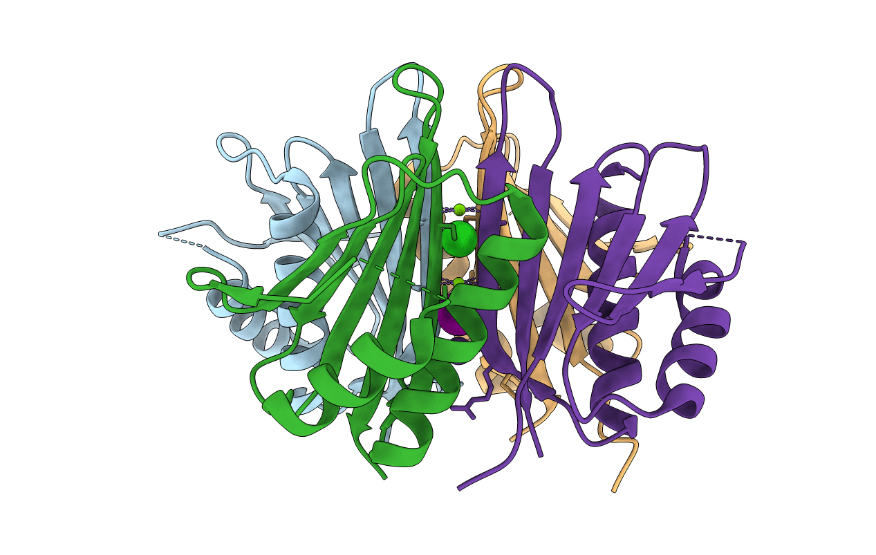 6XYB image
