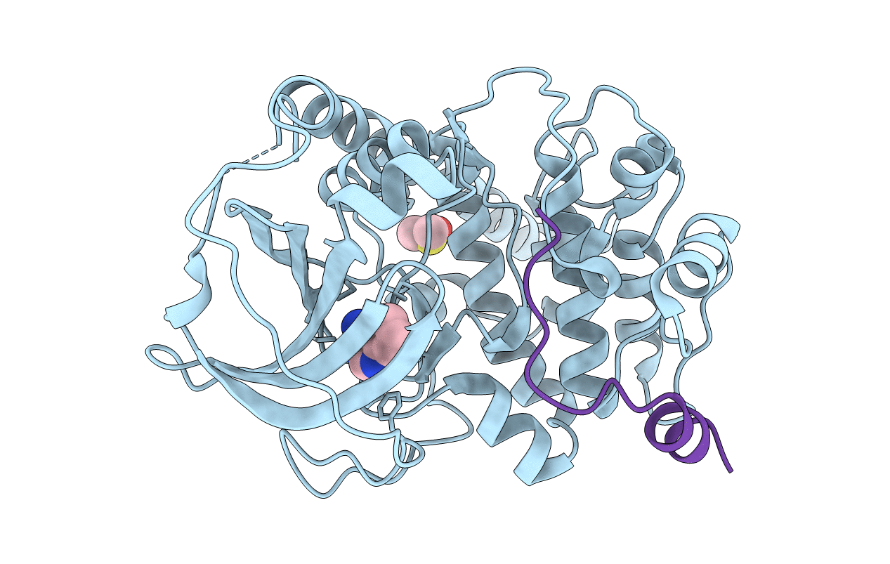 6Y0B image