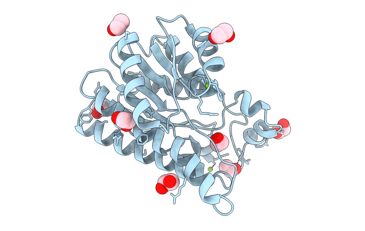6Y10 image