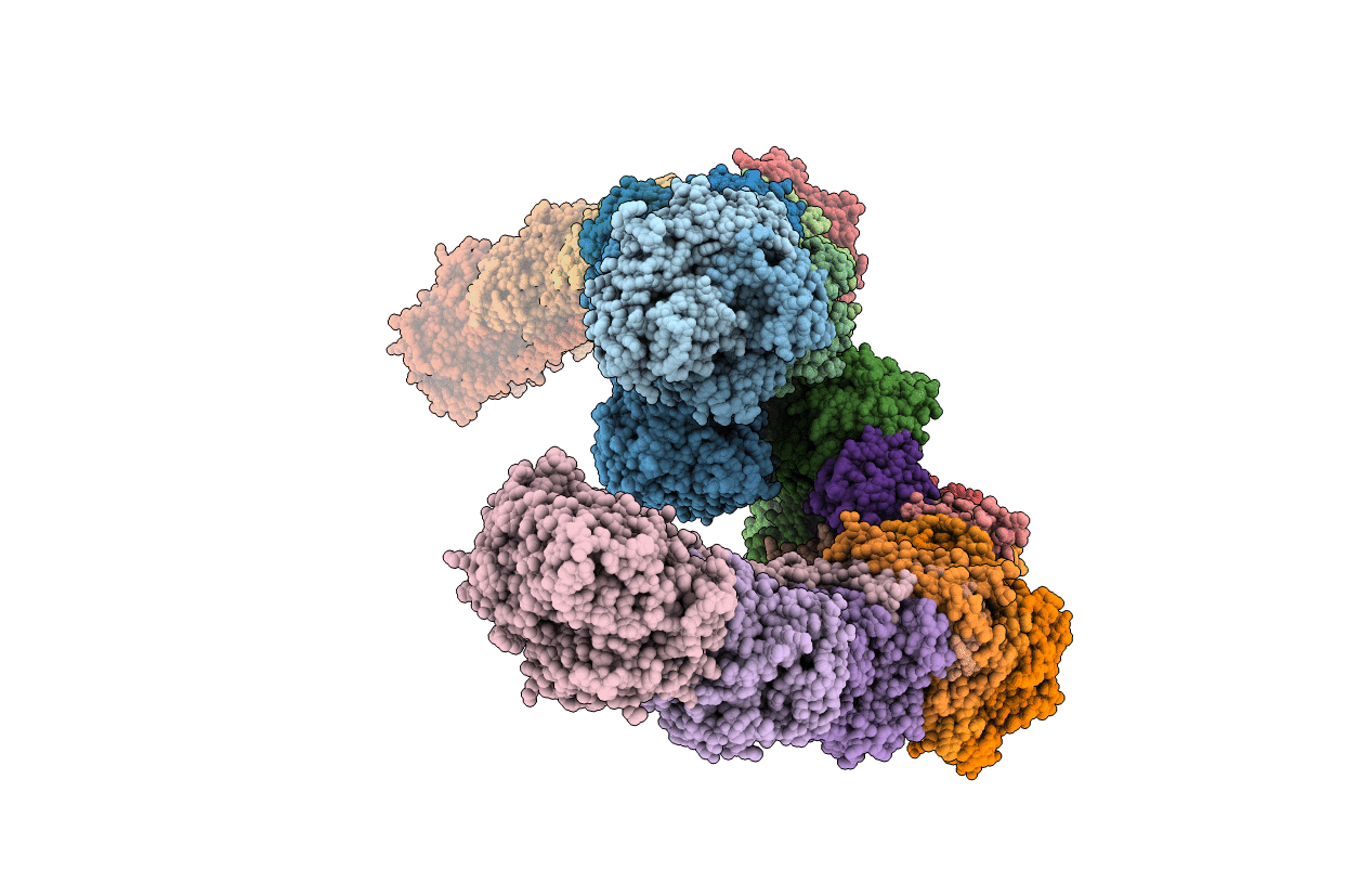 6Y11 image