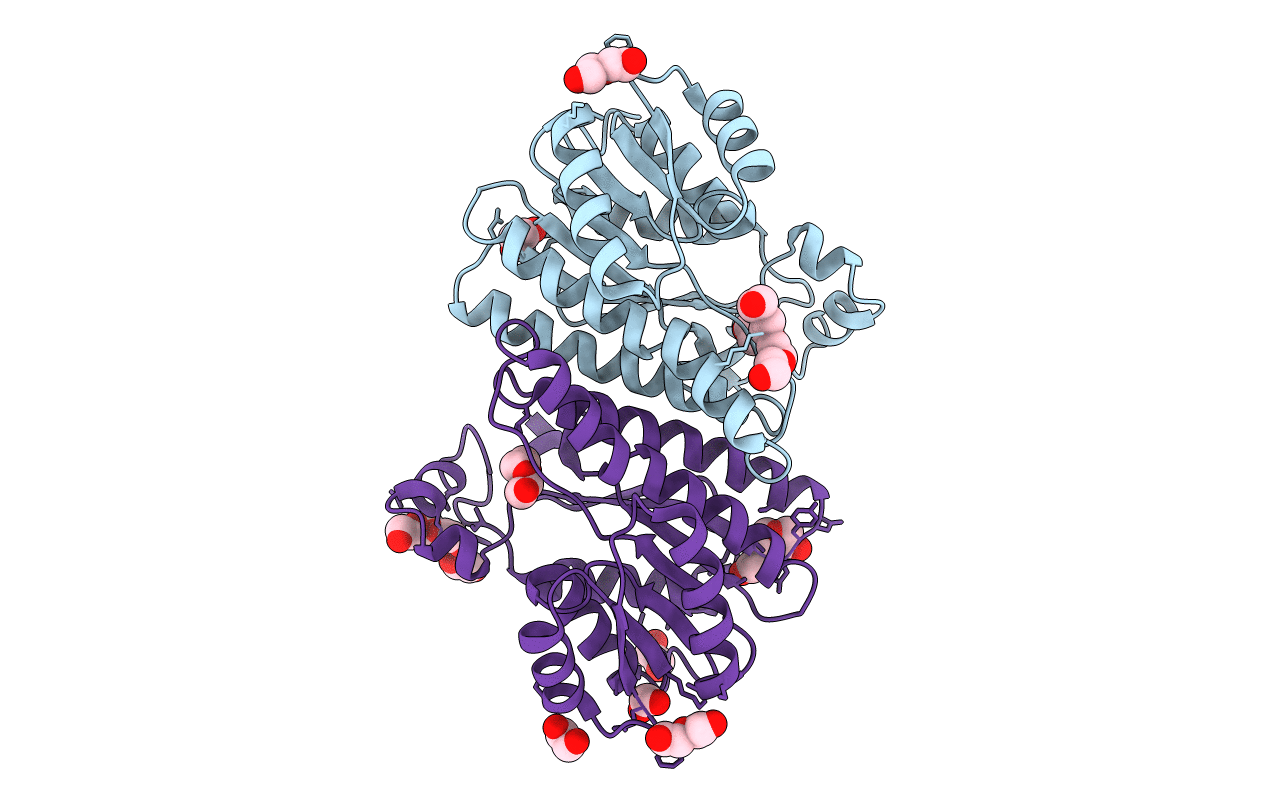 6Y1C image