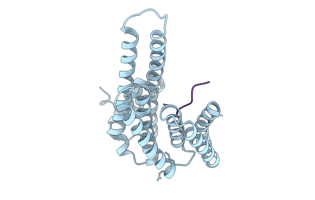 6Y1D image