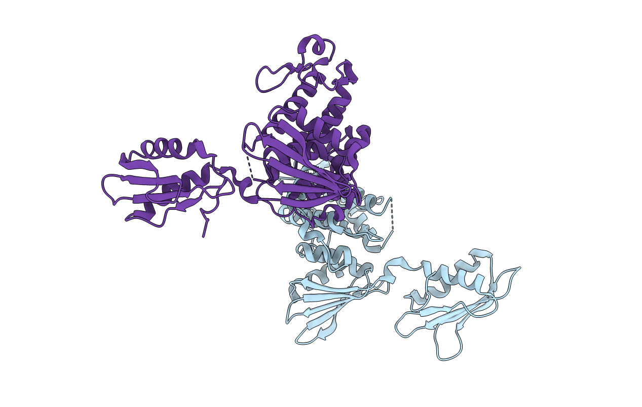 6Y2R image
