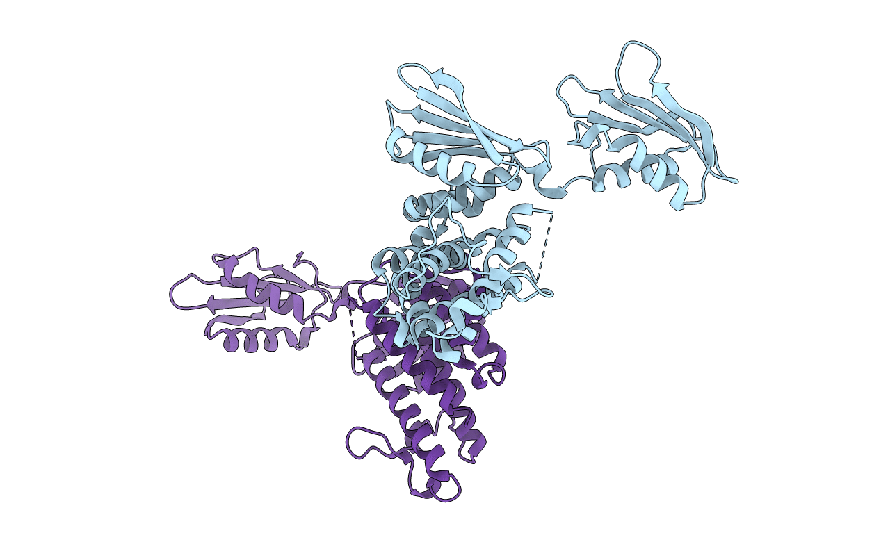 6Y2S image