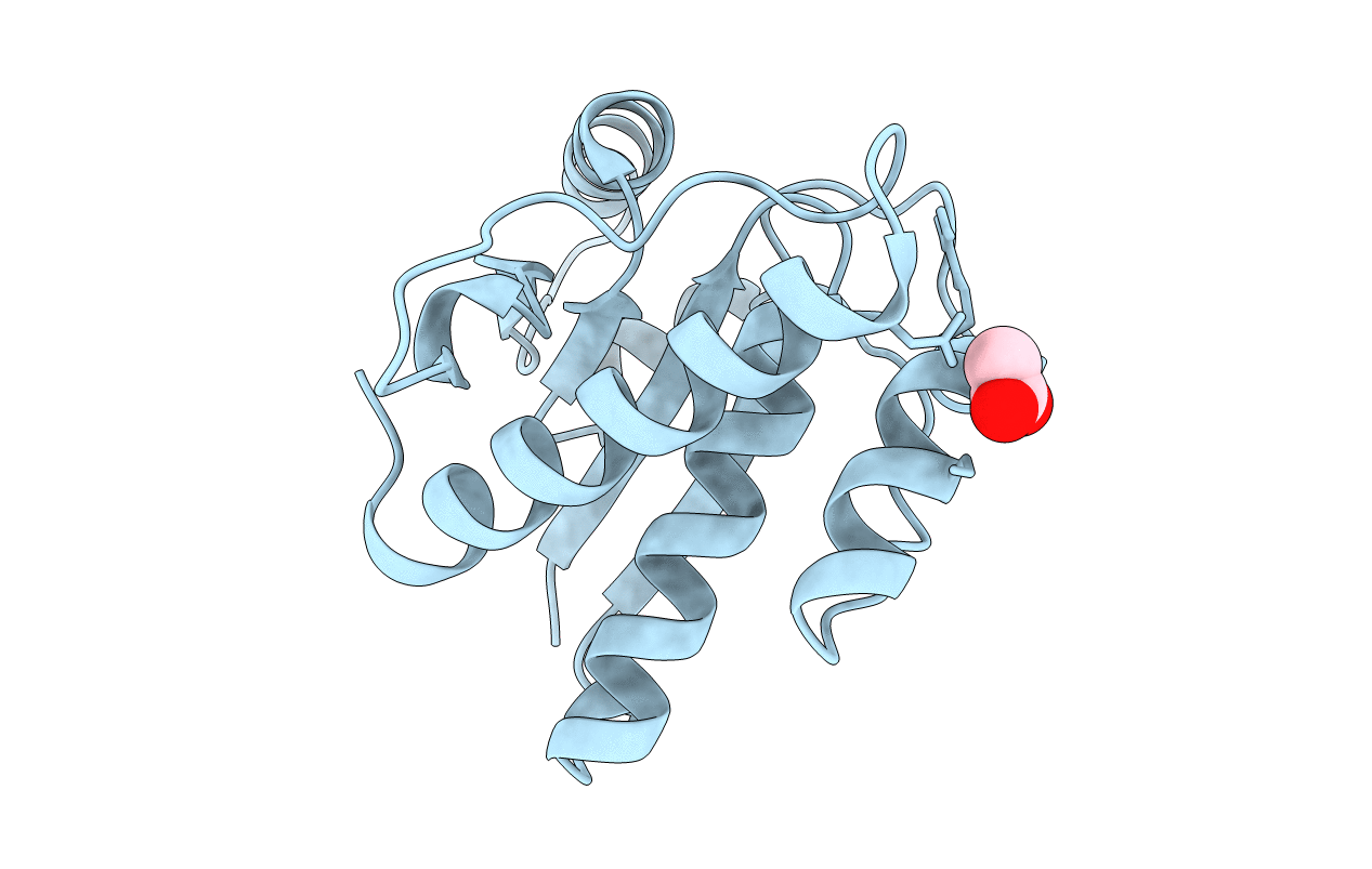 6Y2W image