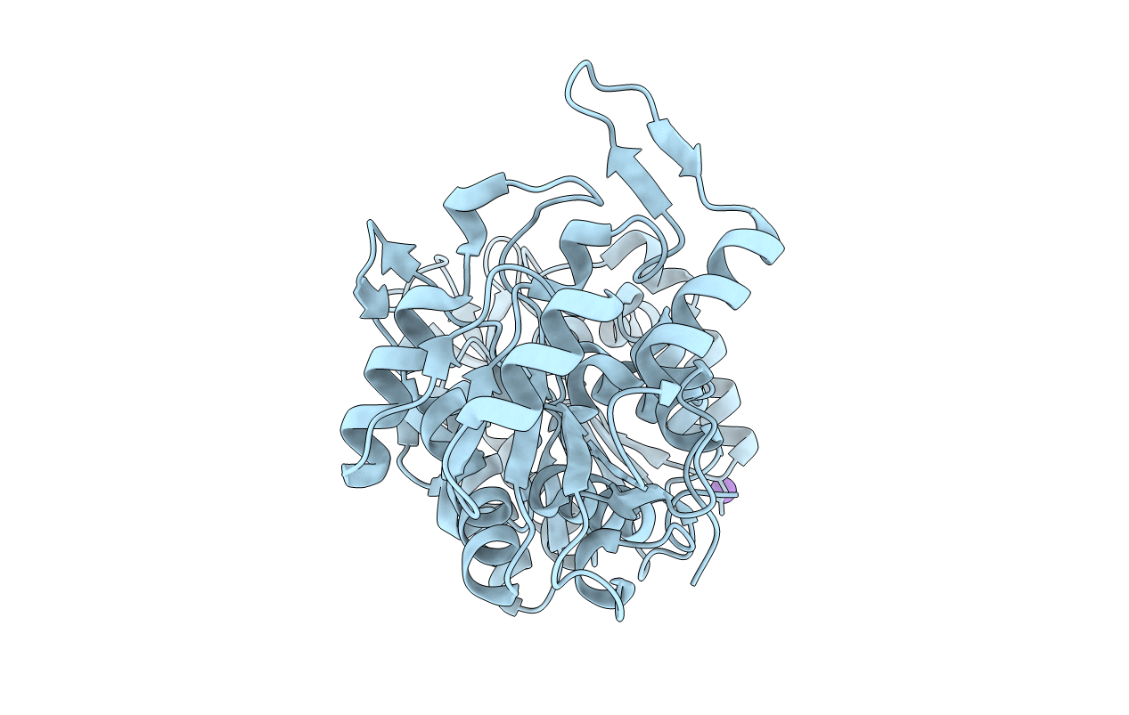 6Y3A image