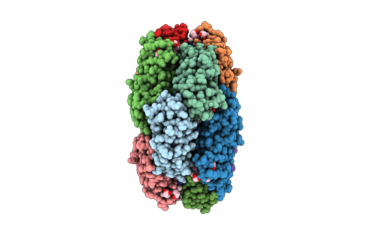 6Y3D image