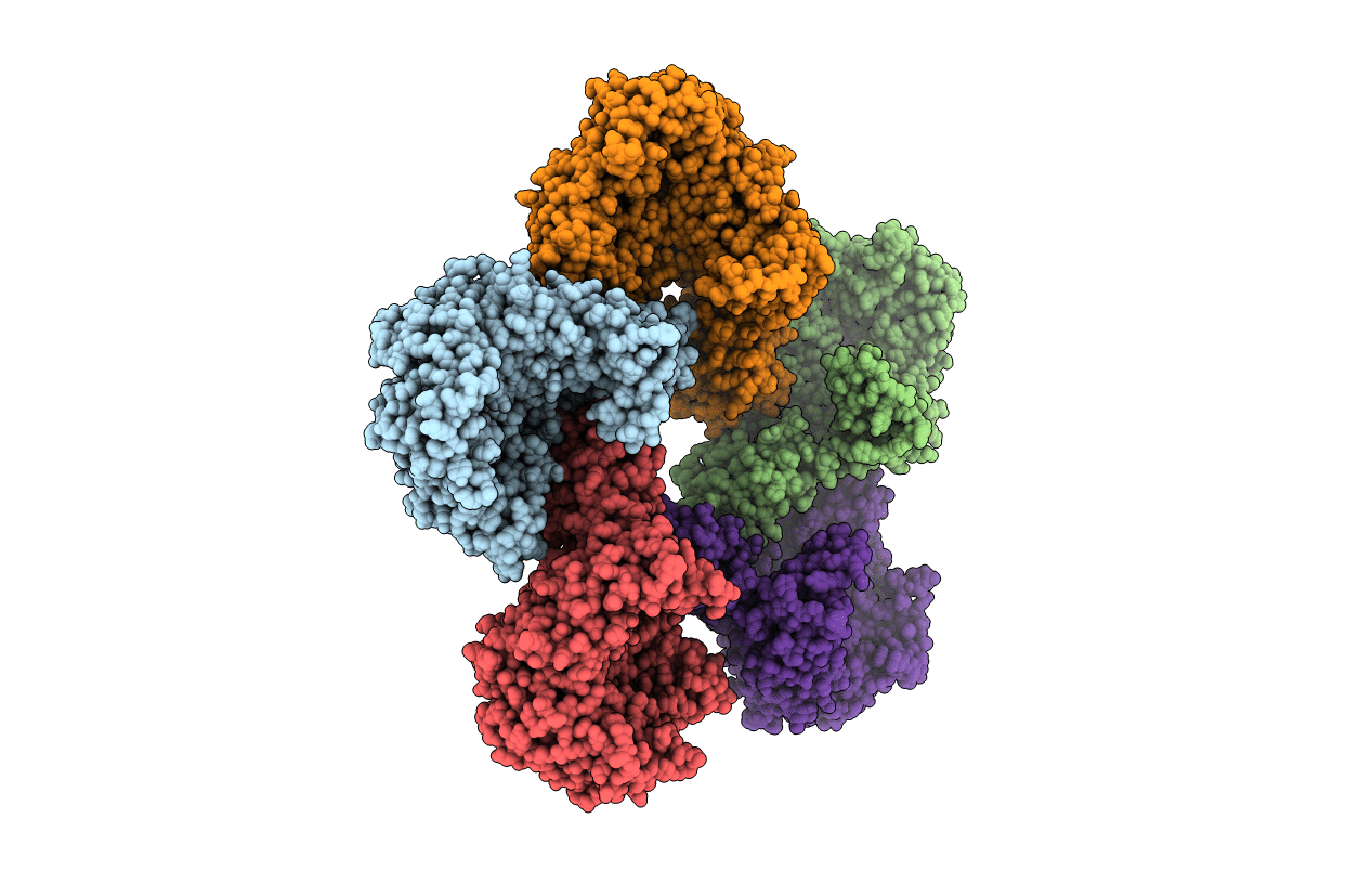 6Y3X image