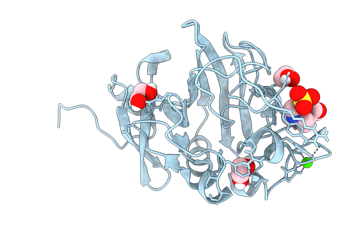 6Y43 image