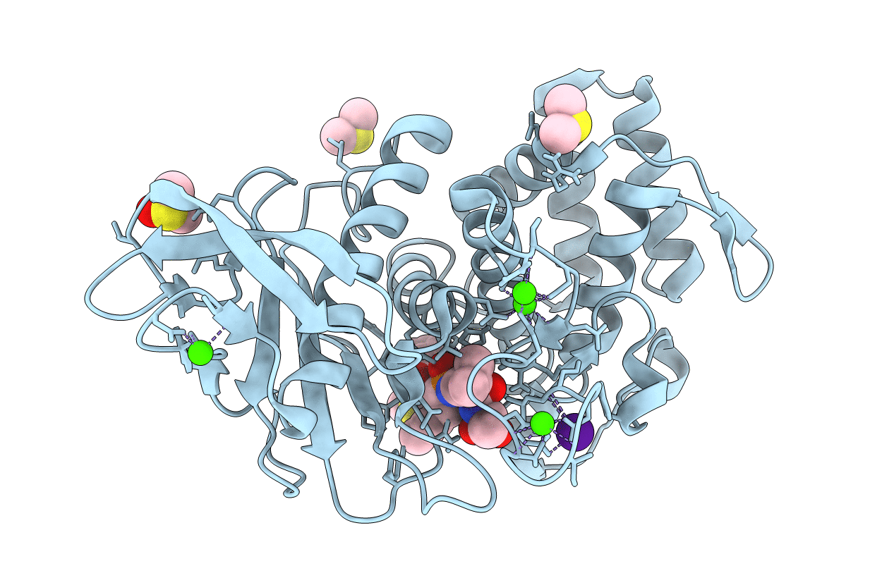 6Y4I image