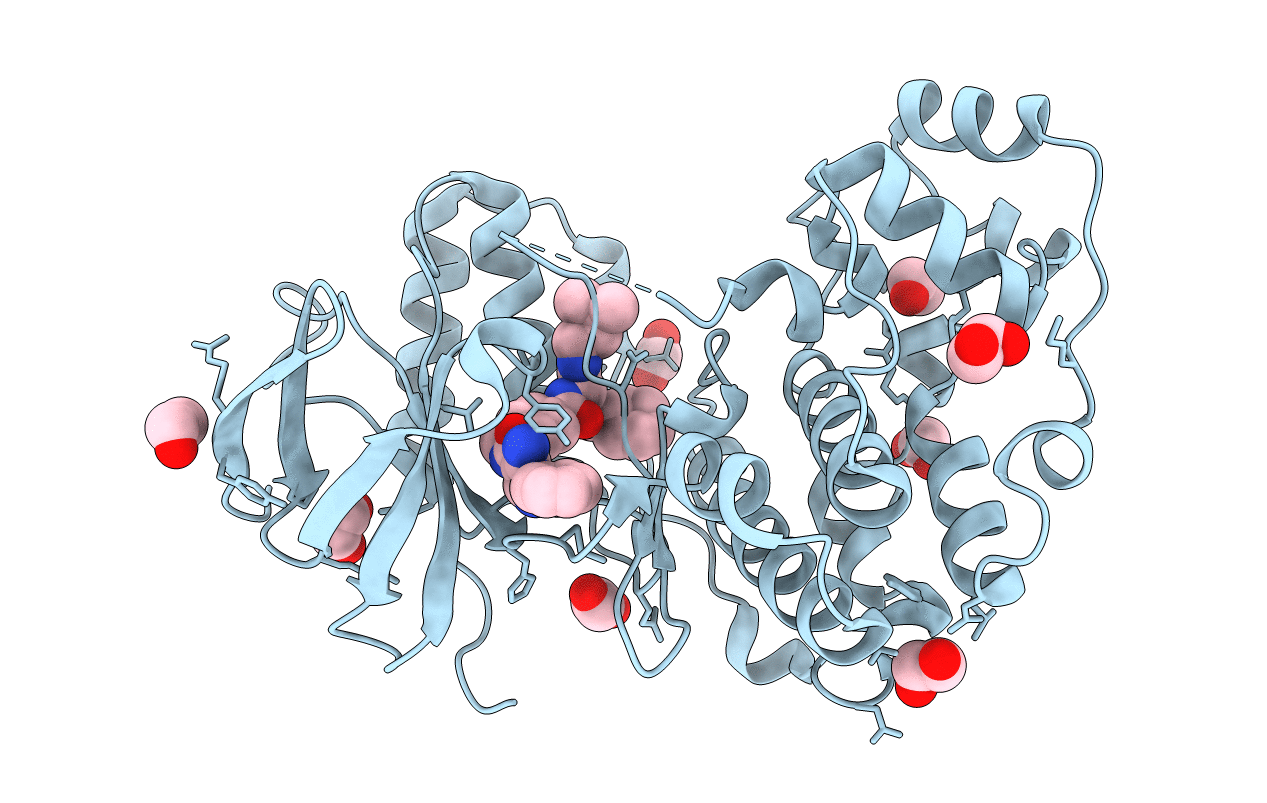 6Y4V image