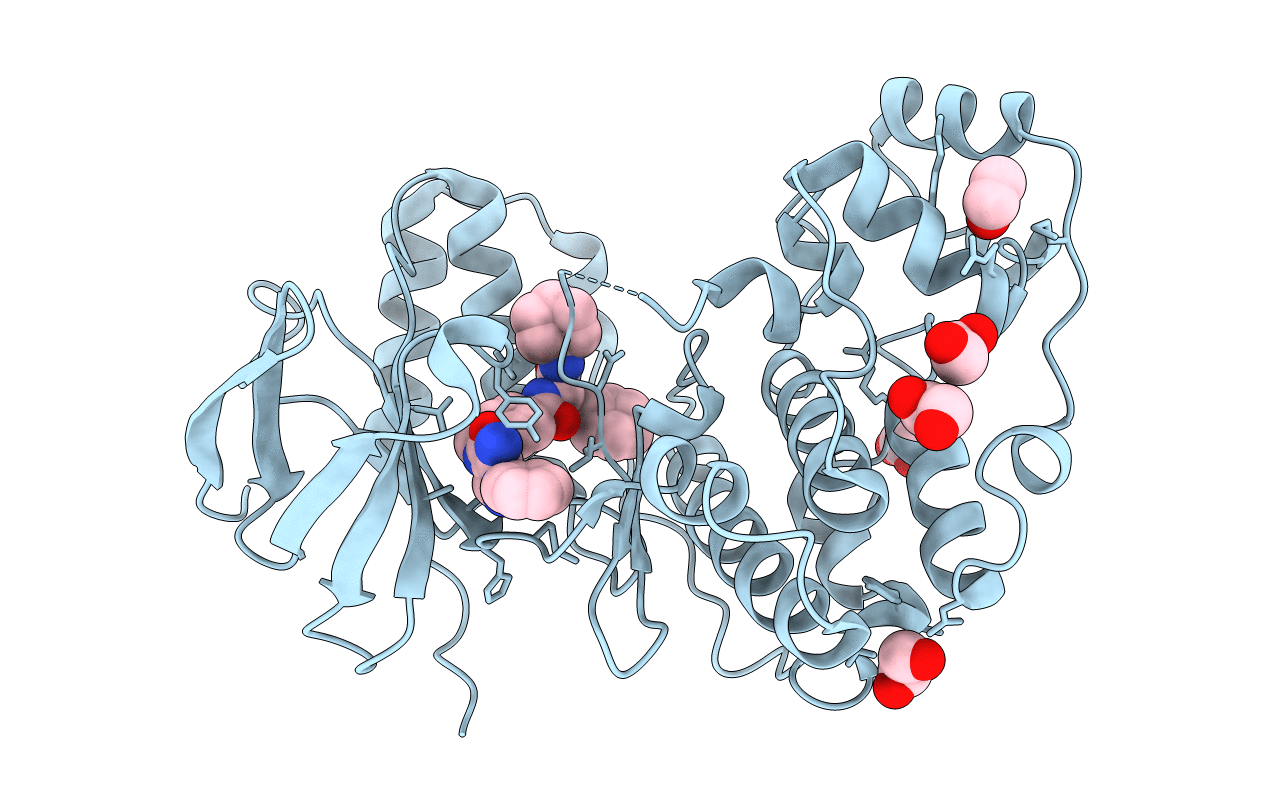 6Y4W image