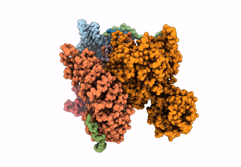 6Y50 image