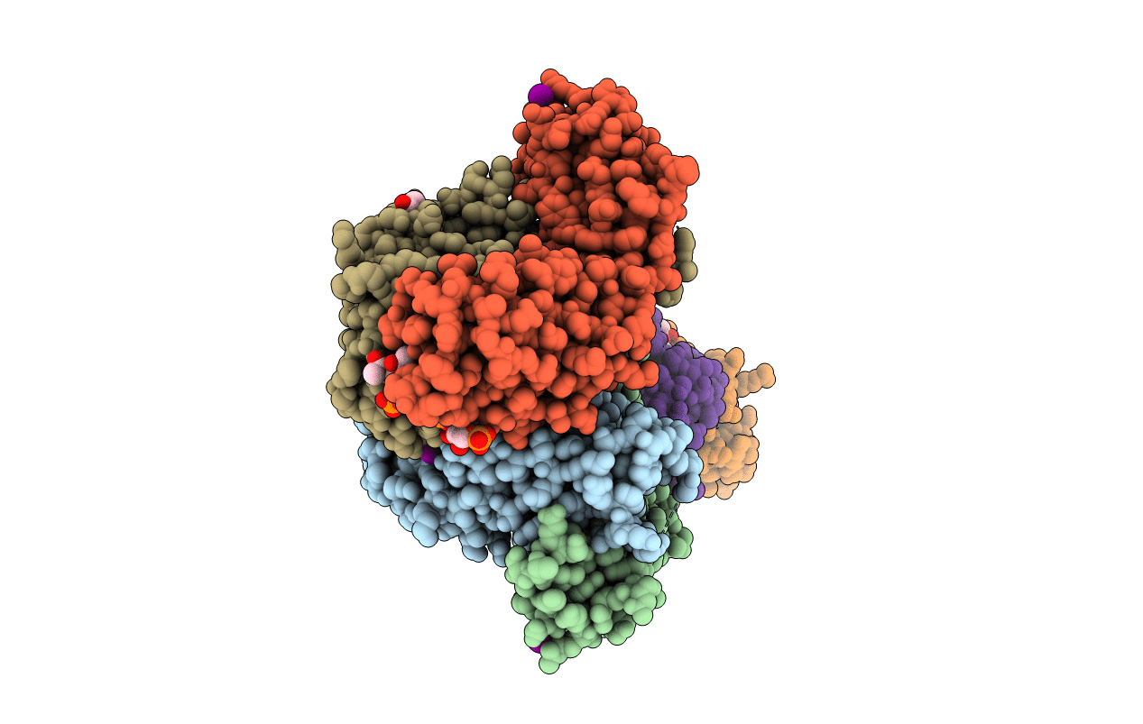6Y54 image