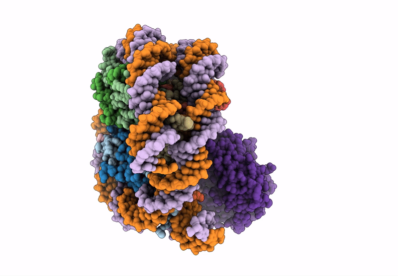 6Y5E image