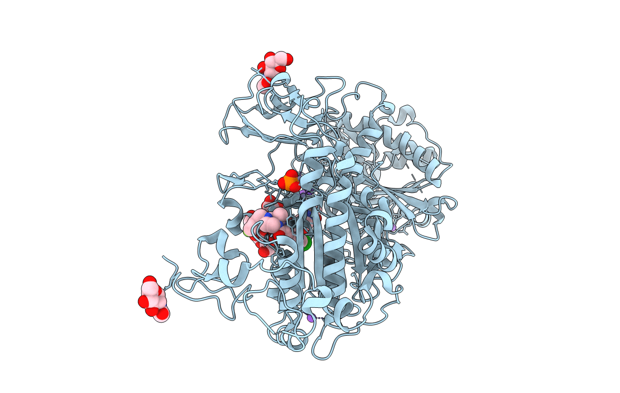 6Y5M image