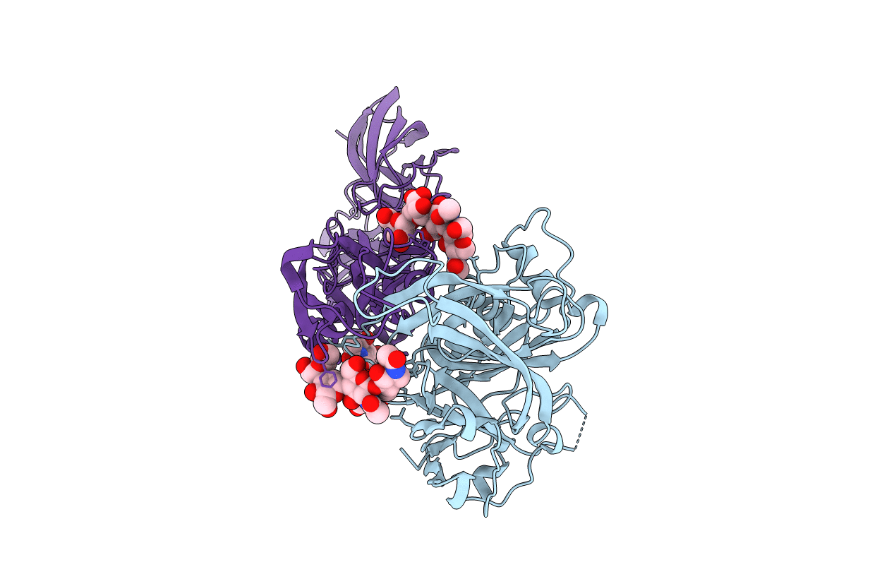 6Y5W image