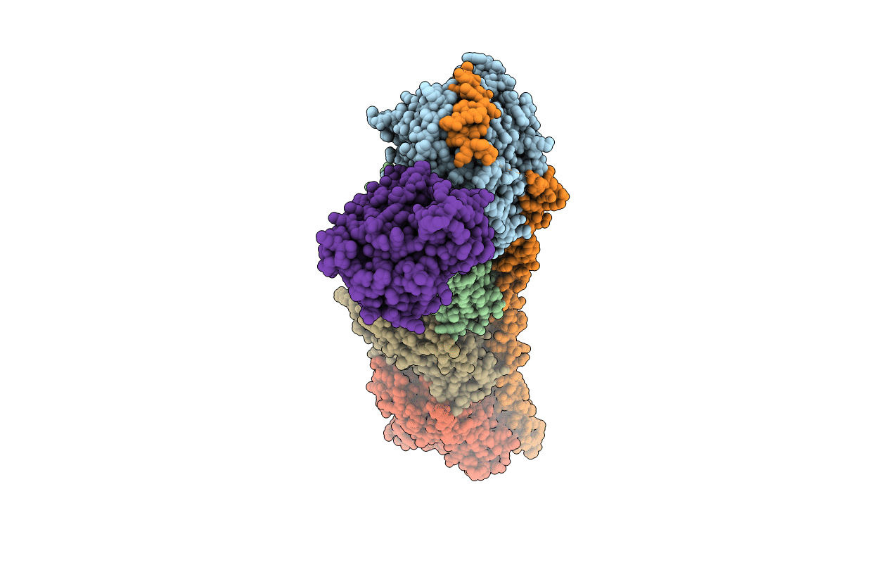 6Y6D image