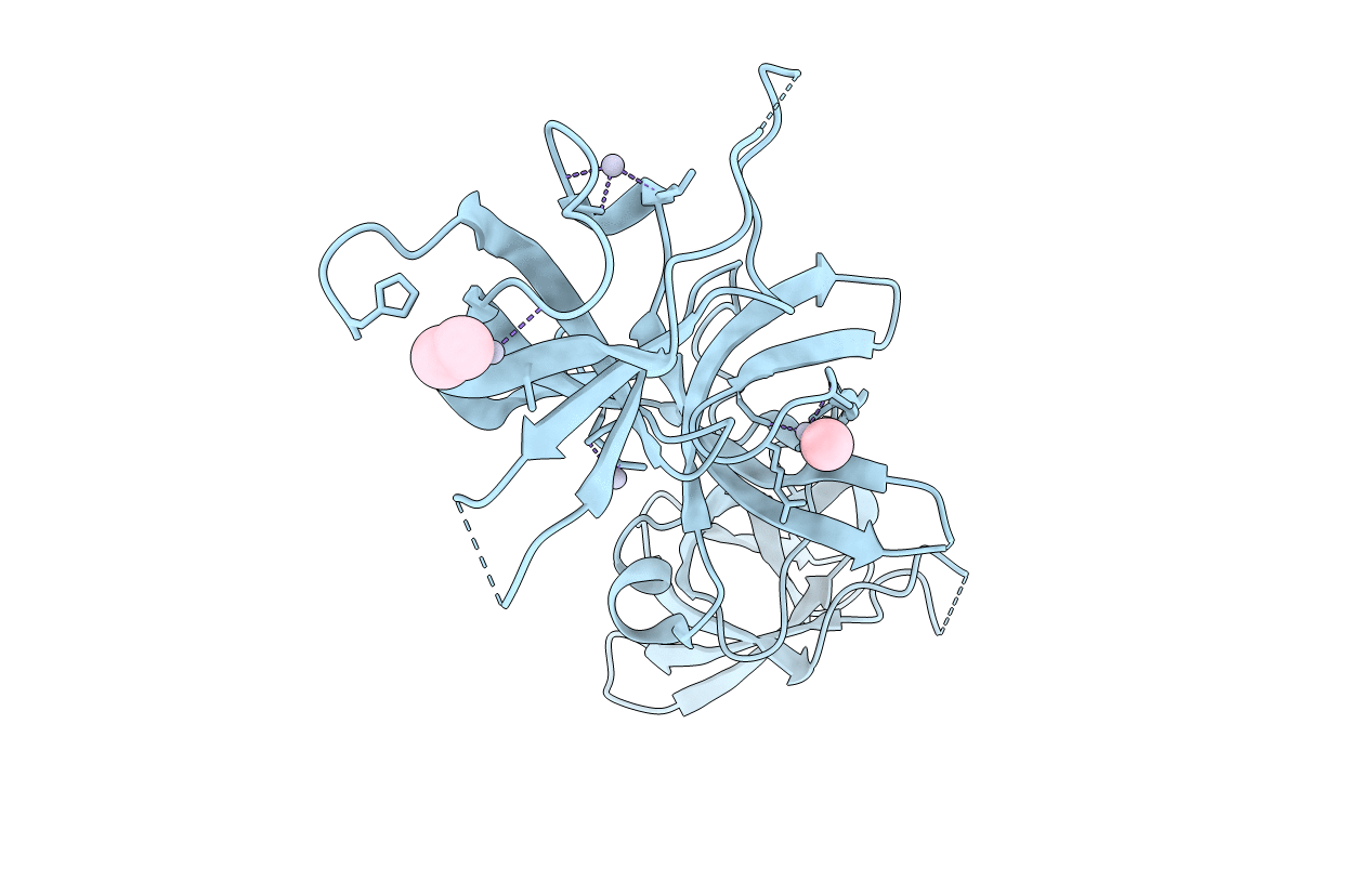 6Y6E image