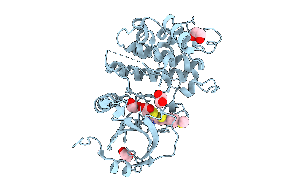 6Y6F image