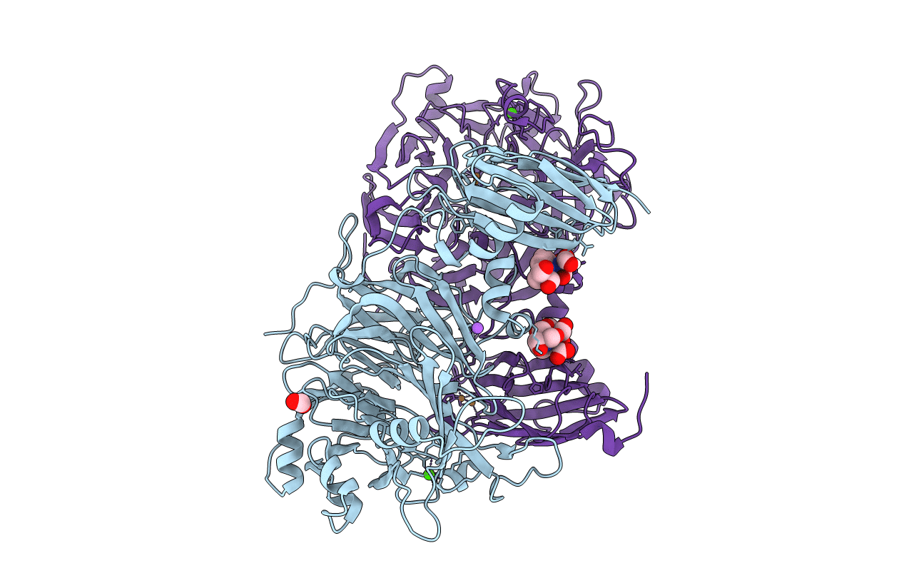 6Y71 image