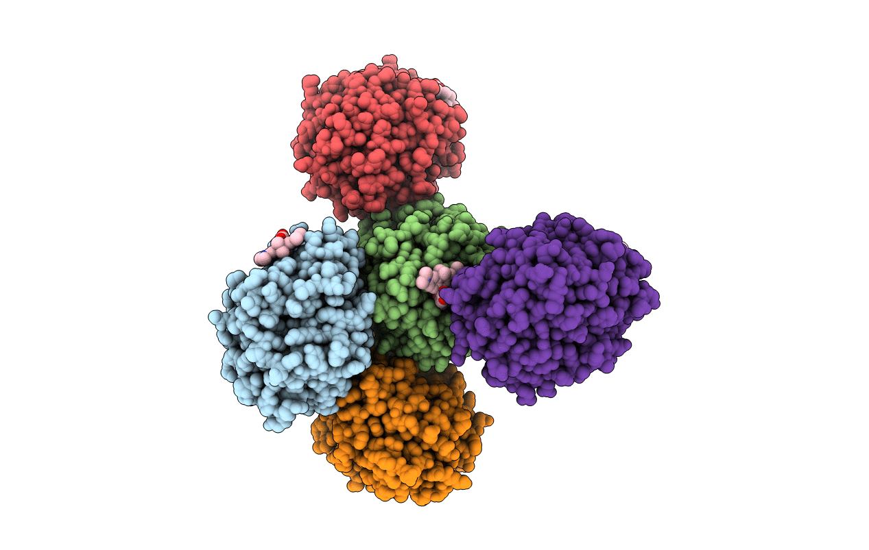 6Y7B image