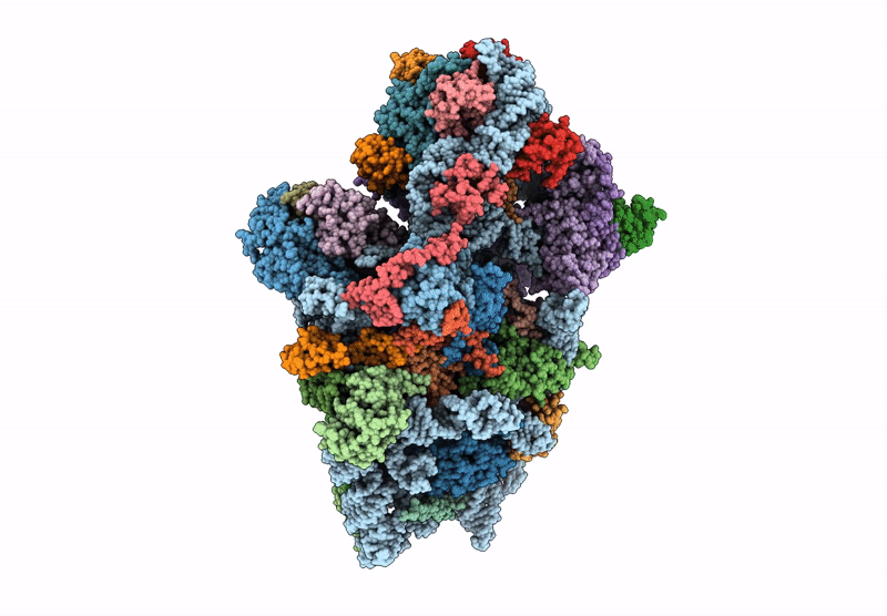 6Y7C image