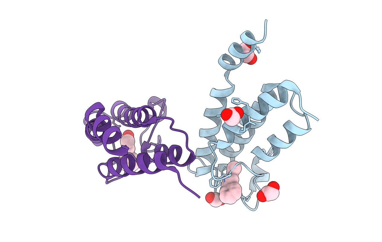 6Y7H image
