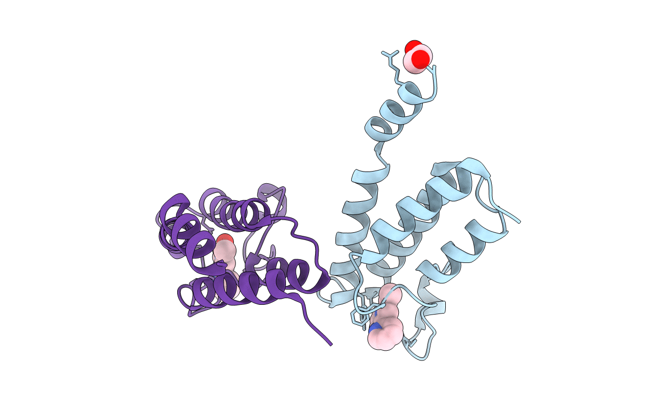 6Y7I image