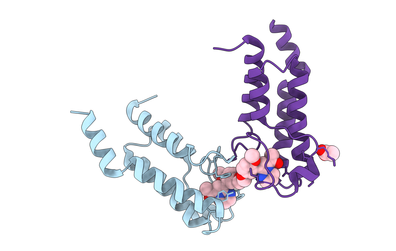 6Y7J image