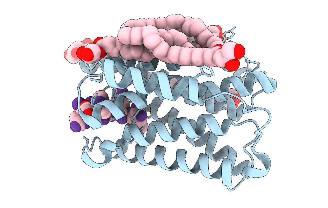 6Y7V image
