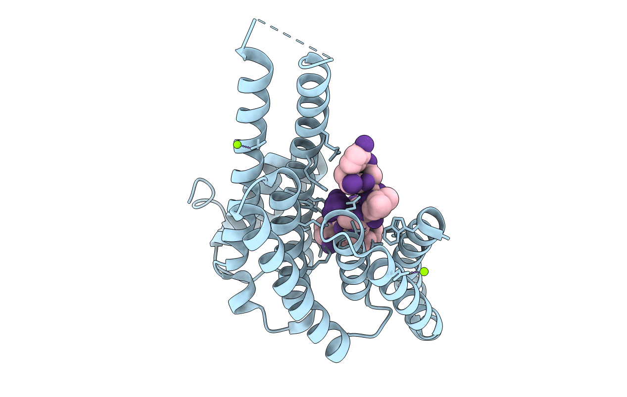 6Y8B image