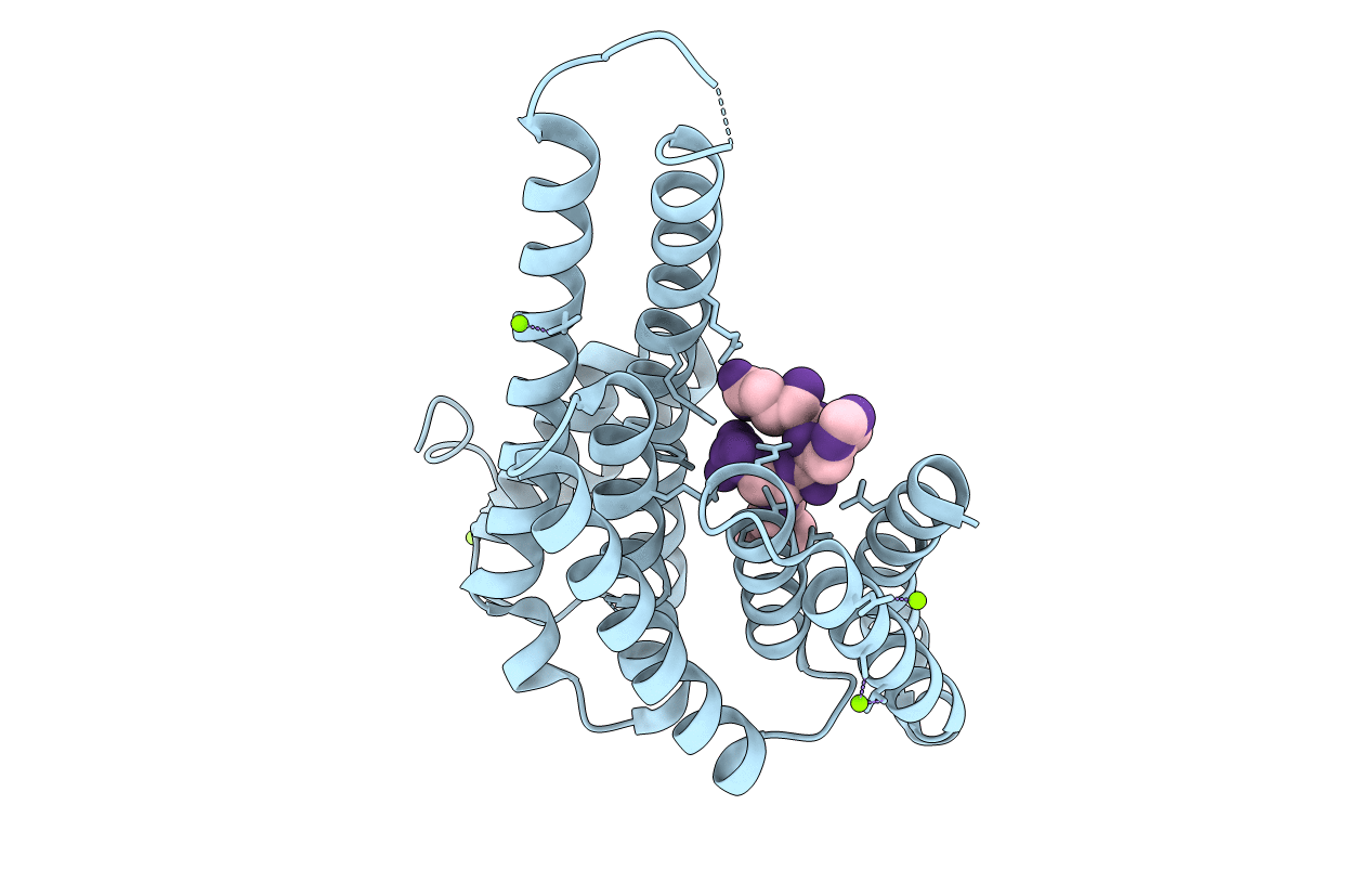 6Y8D image