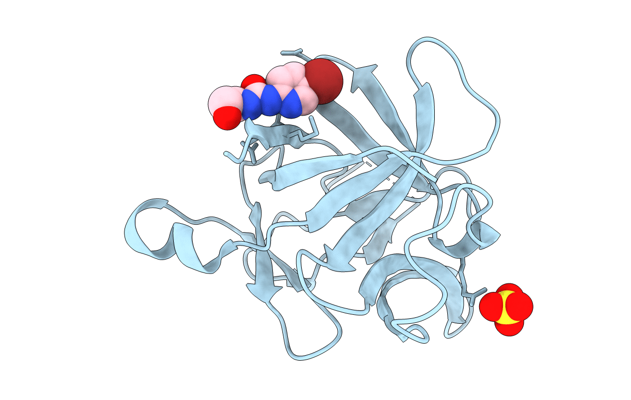 6Y8I image