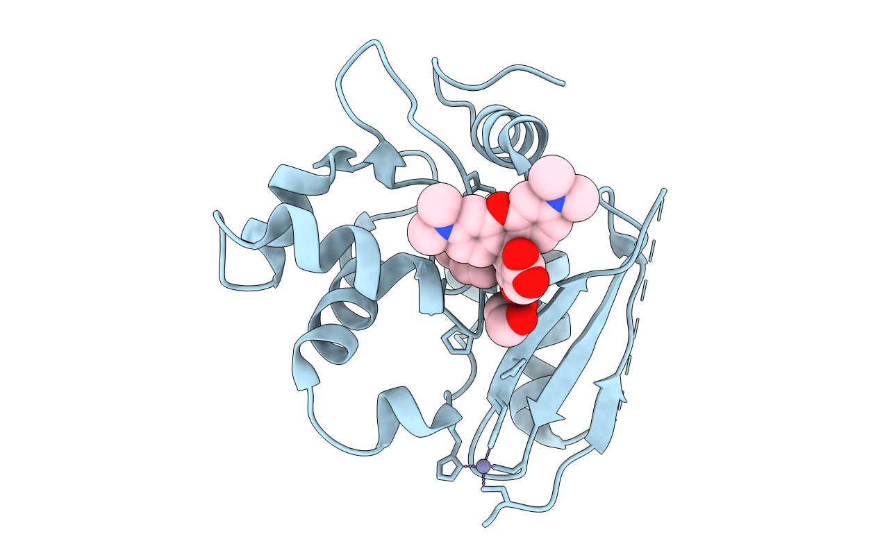 6Y8P image