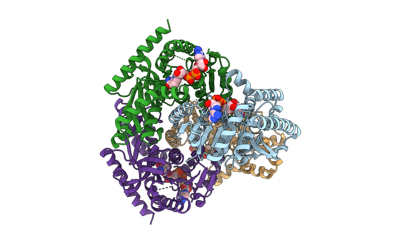 6Y91 image