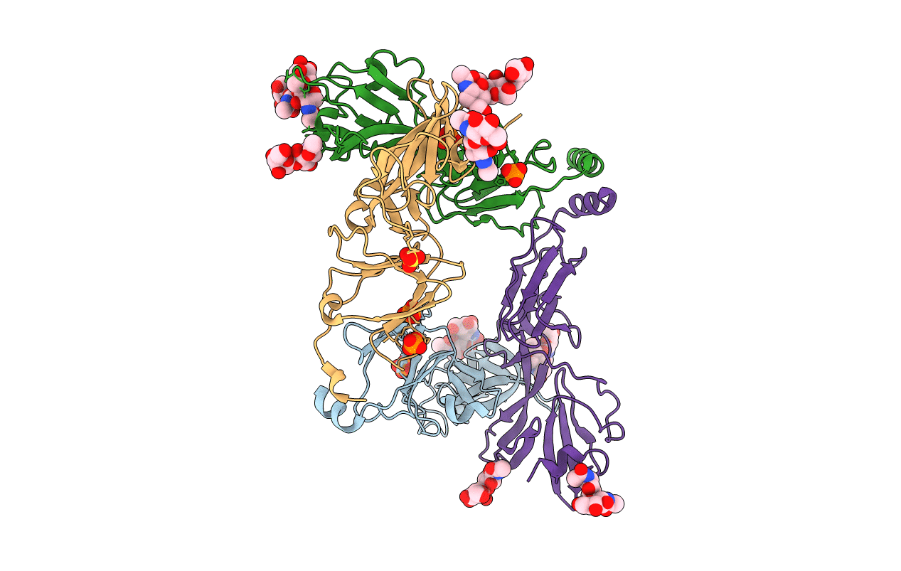 6Y9M image