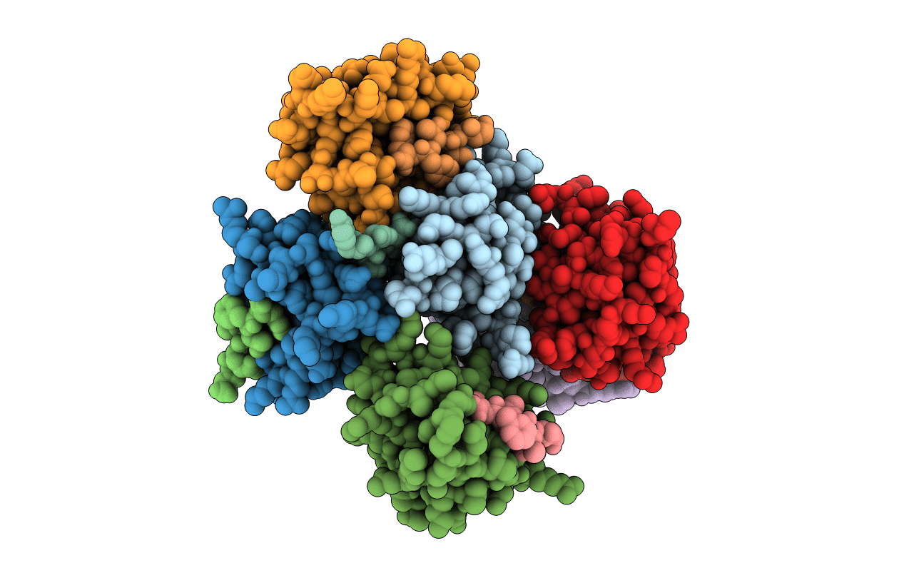 6Y9P image