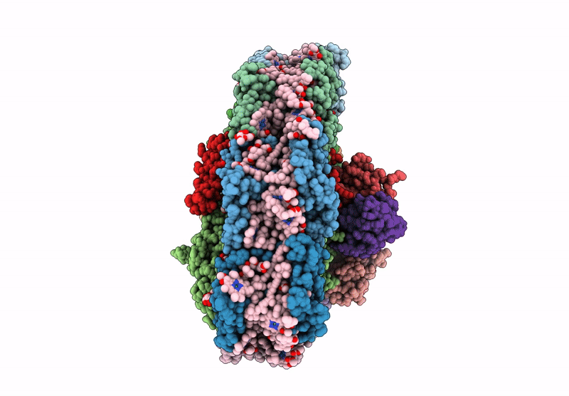 6YAC image