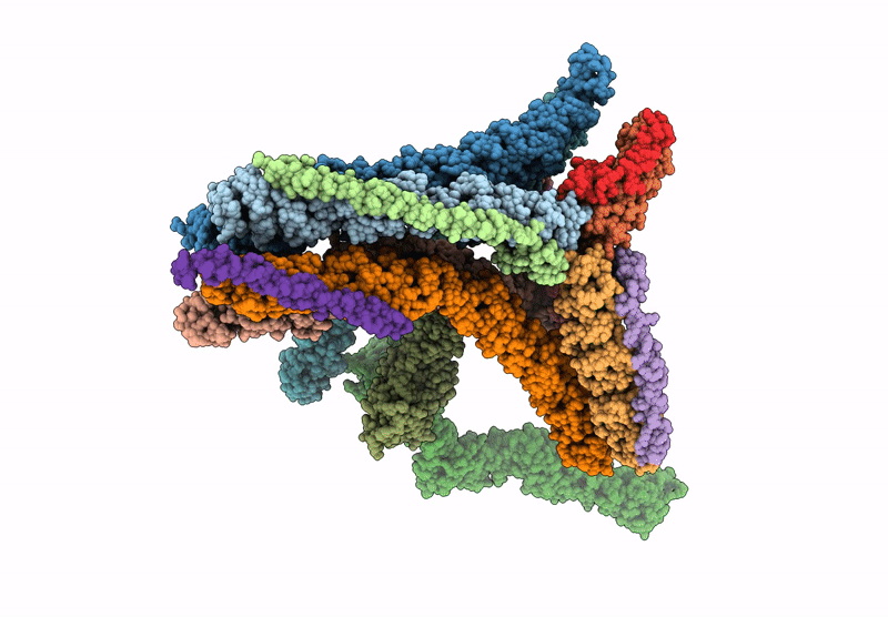 6YAI image