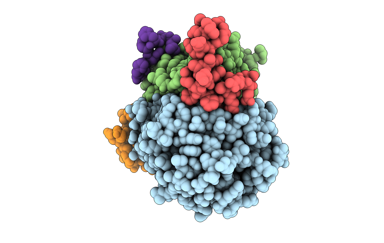 6YB5 image