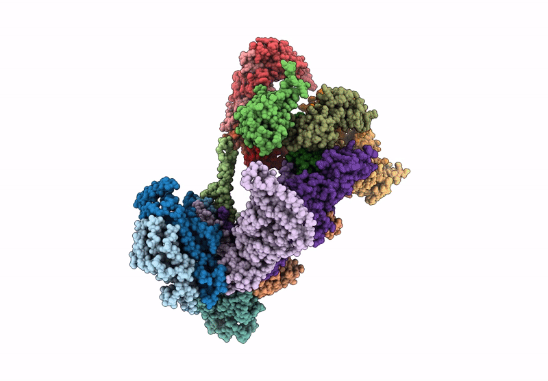 6YBD image
