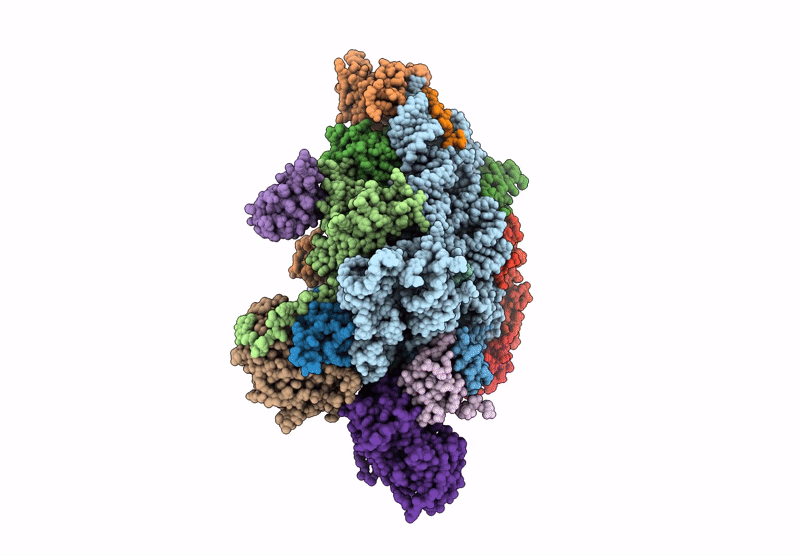 6YBS image