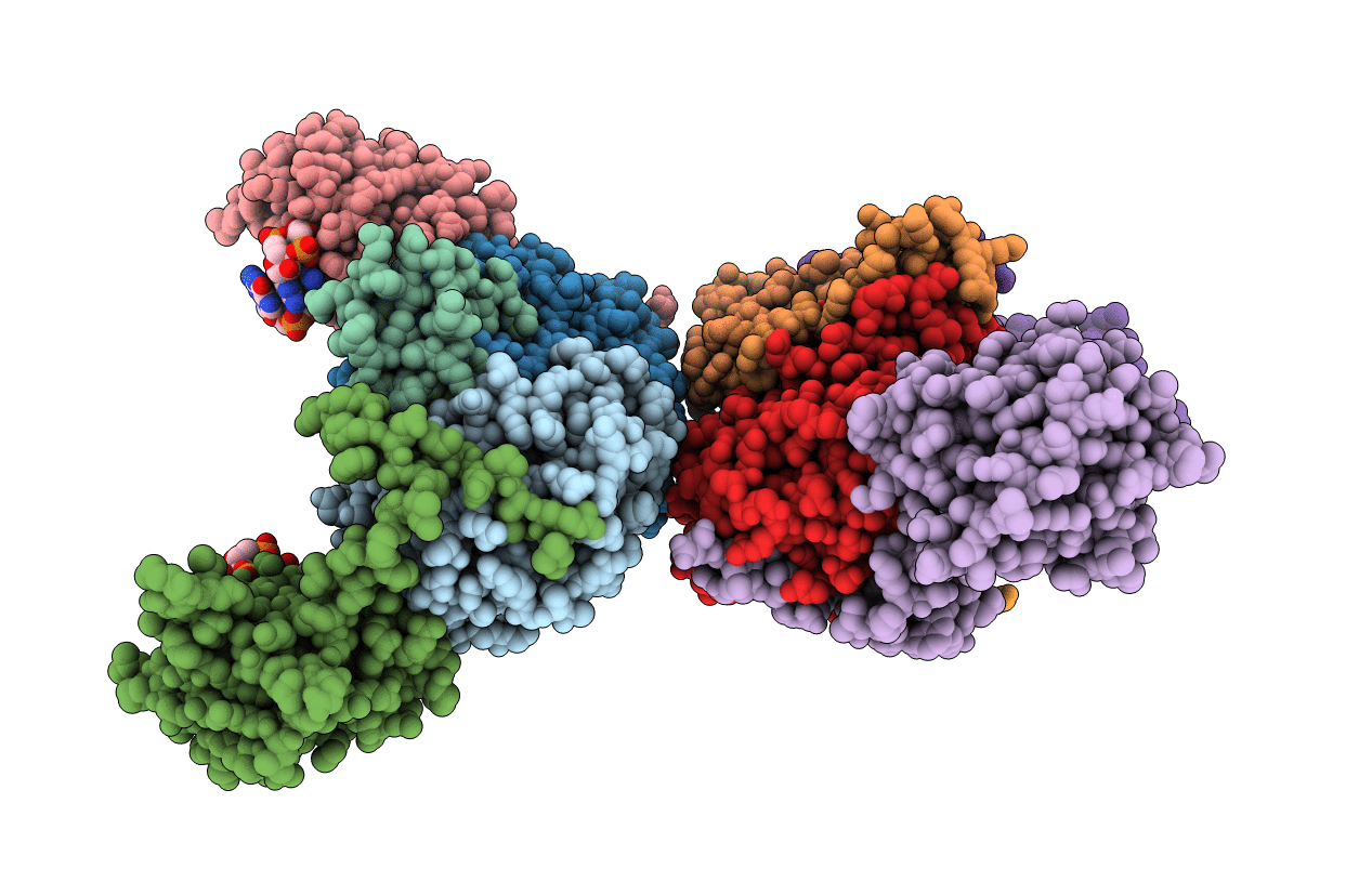 6YBU image