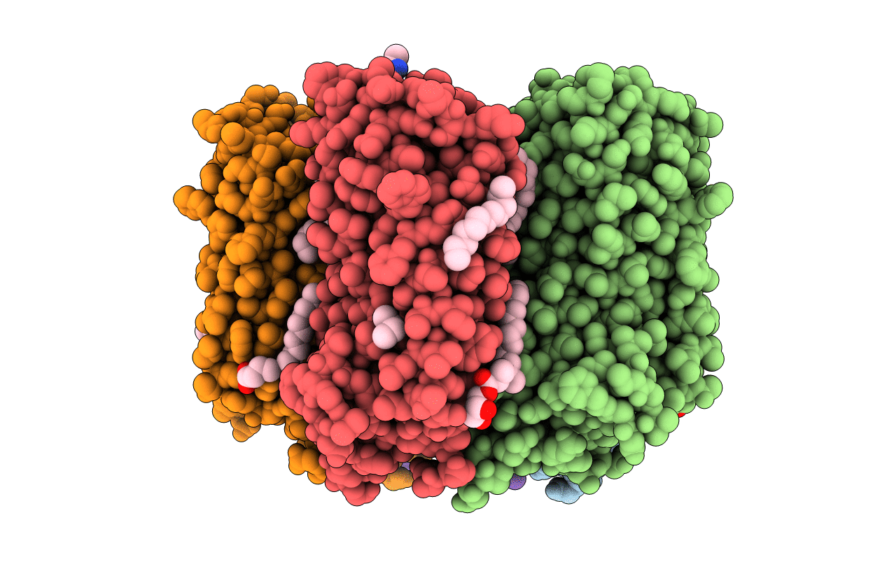 6YC2 image