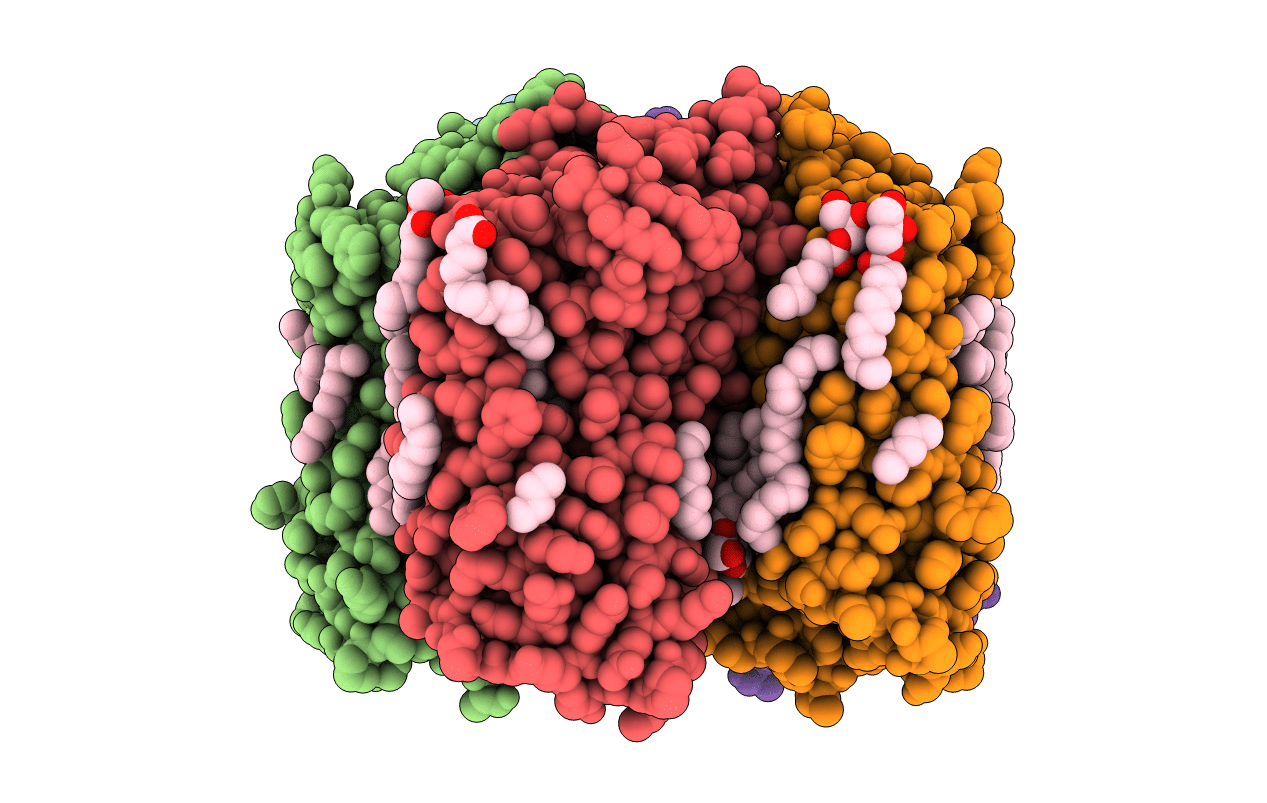 6YC4 image