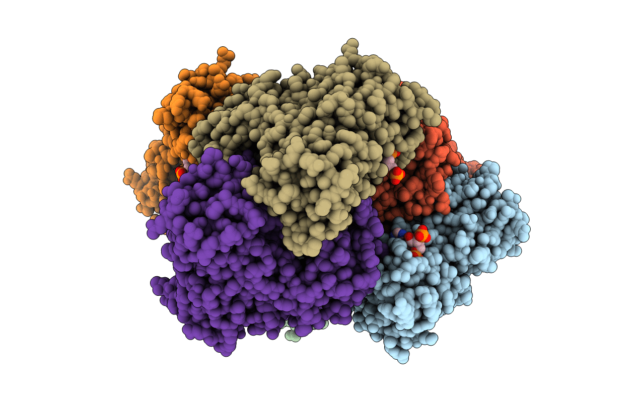 6YCA image